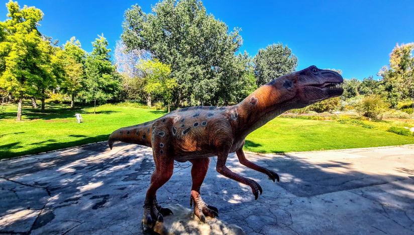 בוטניזאור בגן הבוטני בירושלים